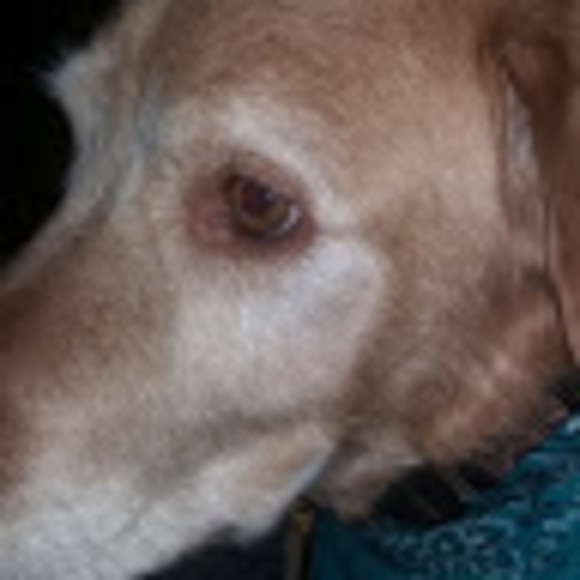 Meet your Posher, Q - Picture 1 of 1